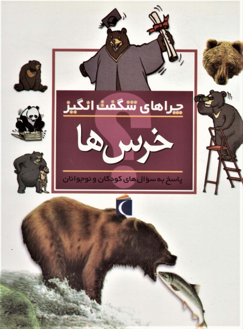 چراهای شگفت انگیز (خرس ها)