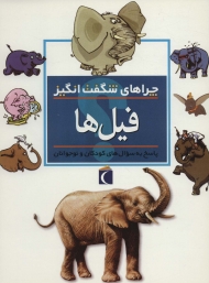 چراهای شگفت انگیز (فیل ها)