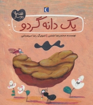 یک دانه گردو (قصه های دوستی)،(گلاسه)