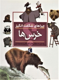 چراهای شگفت انگیز (خرس ها)